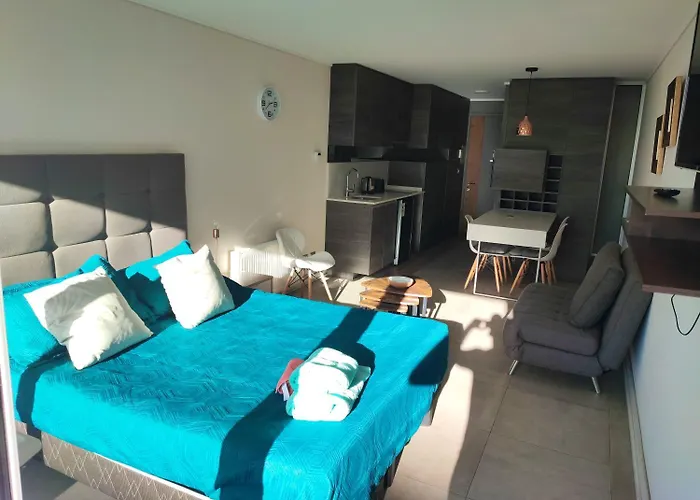 Lindo Departamento Estudio En Renaca Eluchans